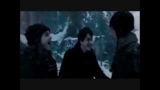 Harry Potter - Linkin Park New Divide