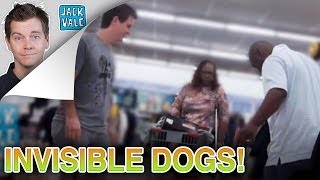 Invisible Dogs | Jack Vale