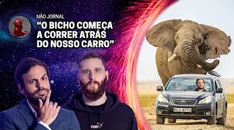 imagem do vídeo PERSEGUIDO POR UM ELEFANTE com Rosso & Varella | Planeta Podcast