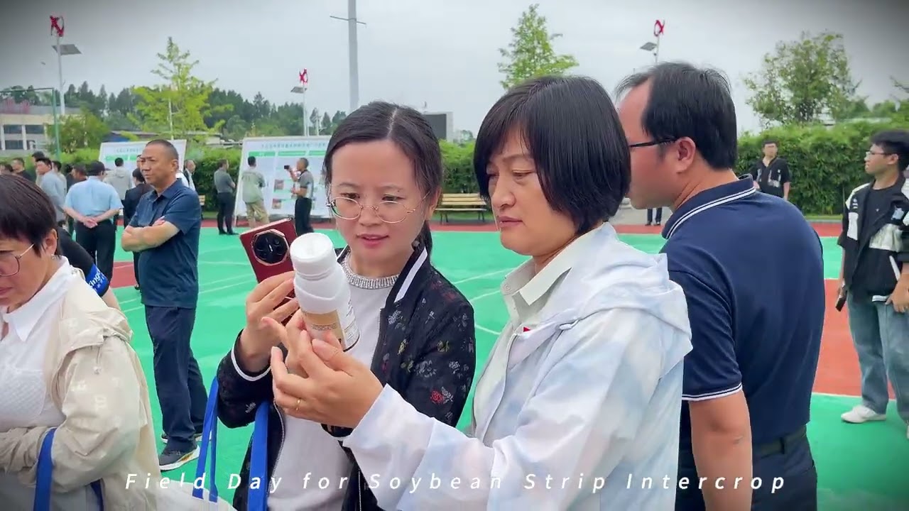 Soybean Seed Coating Technology Showcase