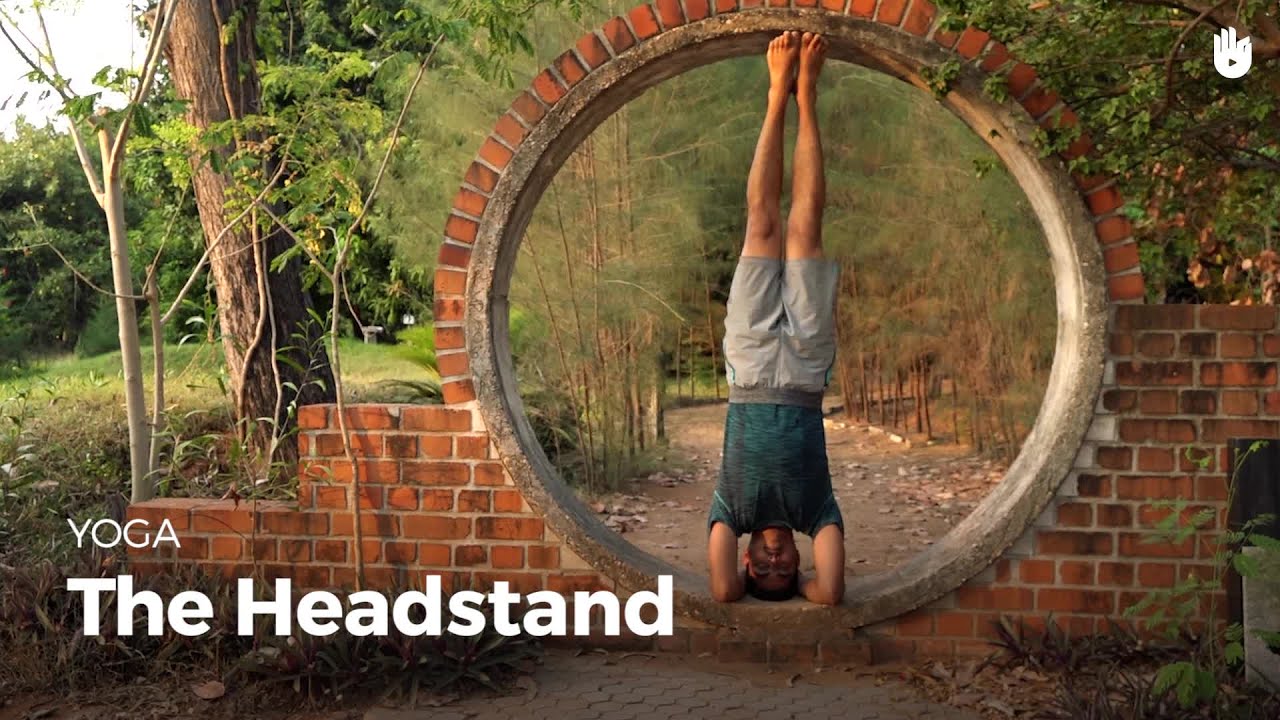 Sirsasana Learn Sirsasana Learn