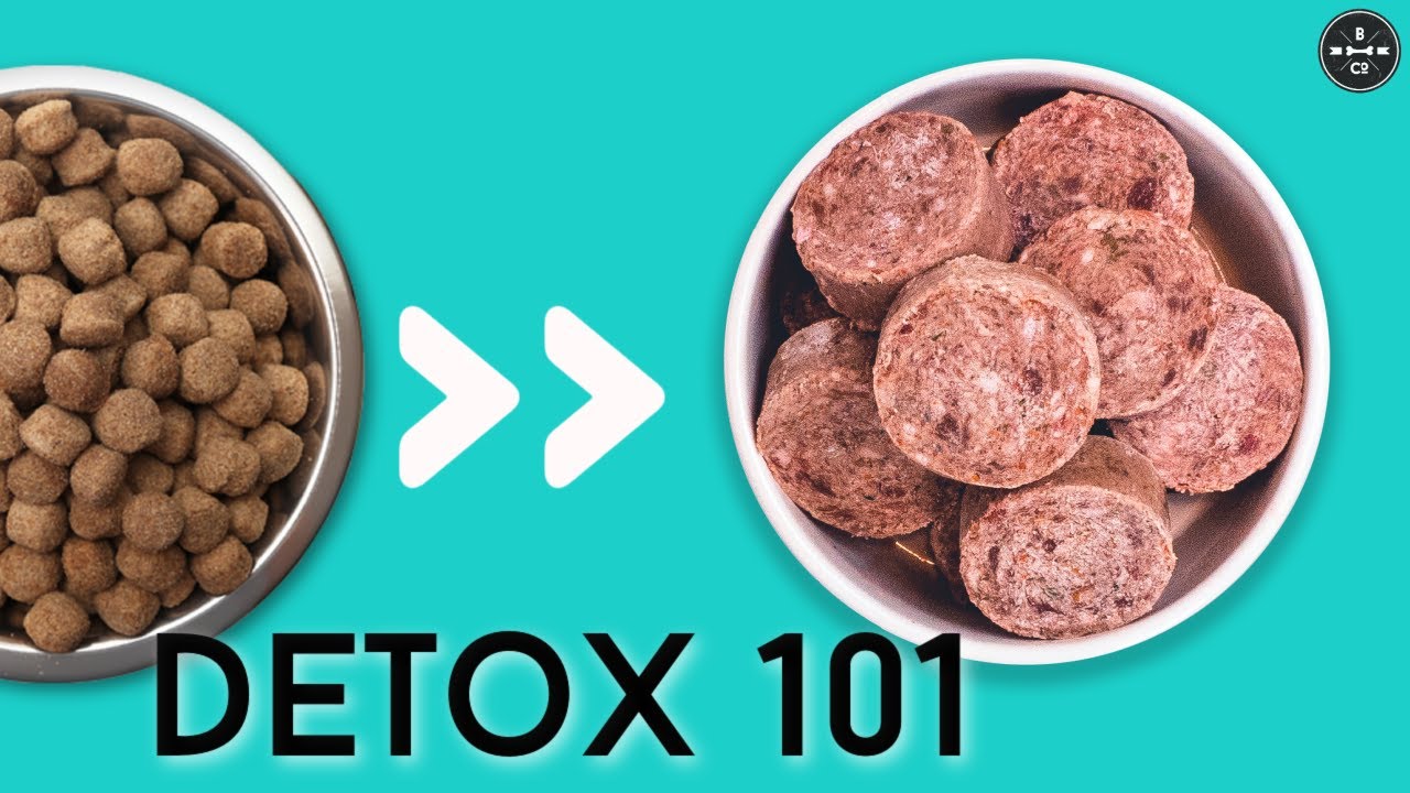 Changing your dog's food? DO THIS to avoid detox symptoms! 🐶 YouTube