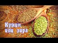 Специи. Кумин или зира. Применение, полезные свойства зиры / Cumin (zira) / ENG SUB