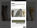 🧐👉 Why Smuggled Seahorses and Shark Fins Are Now Easier to Catch #QixNewsAI