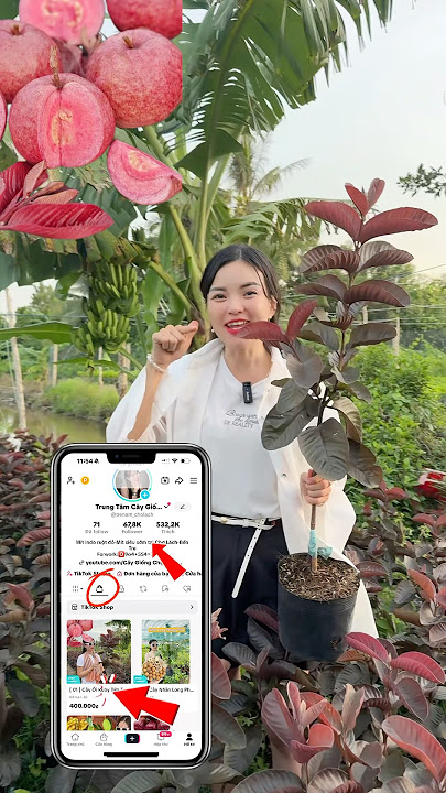 https://vt.tiktok.com/ZSAeHAKWb/ #benamcholach  #oitim  #ayothaya3