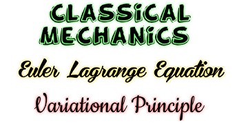 Euler Lagrange Equation Variational Principle