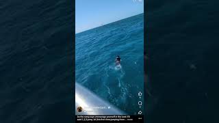 #keywest #boat #fun #jump #elicastro #fyp #pov #florida #travel #brave #ocean #takeoff #kids #love