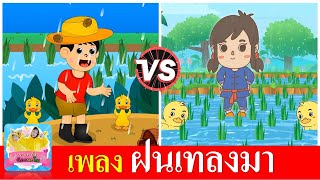 เพลง ฝนเทลงมา | แมงจีนูน