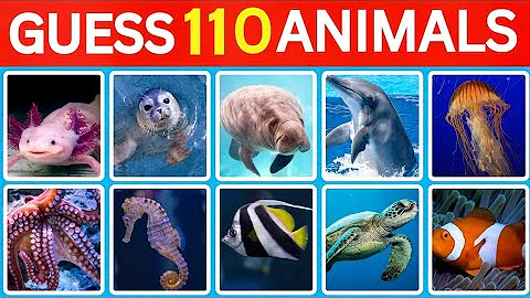 Guess 110 SEA ANIMALS in 3 seconds with Easy, Medium, Hard and Impossible levels