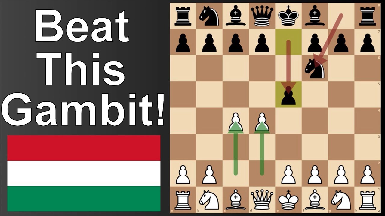 Budapest Gambit, but how to beat it in chess!
