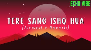 Tere Sang Ishq Hua (Slowed + Reverb) | Arijit Singh, Neeti Mohan | Yodha | Echo Vibe