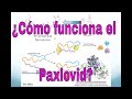 ¿Cómo funciona el segundo antiviral contra Covid-19? El Paxlovid