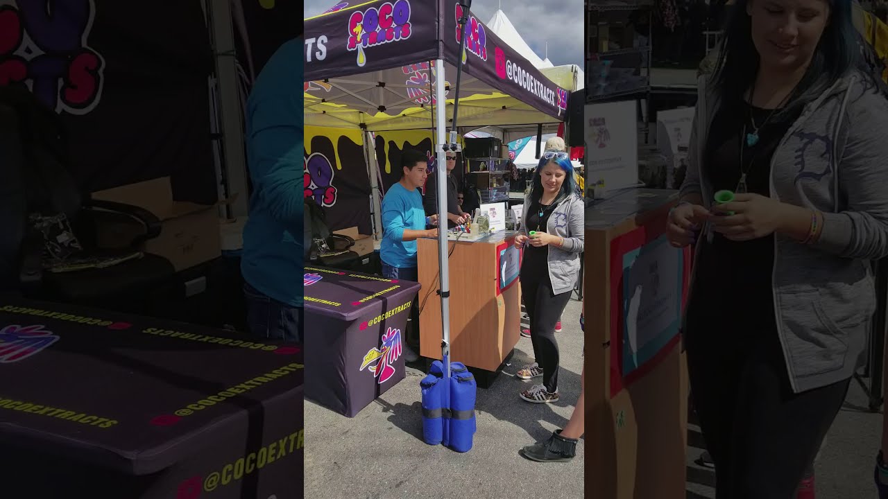 Michigan Cannabis Cup 2017 part 5
