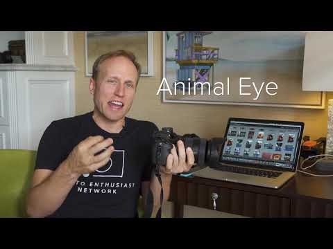 Sony a9 NEW FIRMWARE- Real Time Tracking AF/EYE-AF Demo