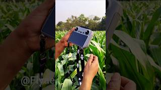 Green Field Drone View 🌿 | DJI RC Cinematic Shot#DJIRC#DroneShot#AerialView