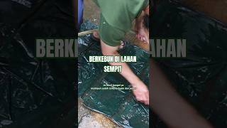 Ga ada halangan untuk menanam #berkebun