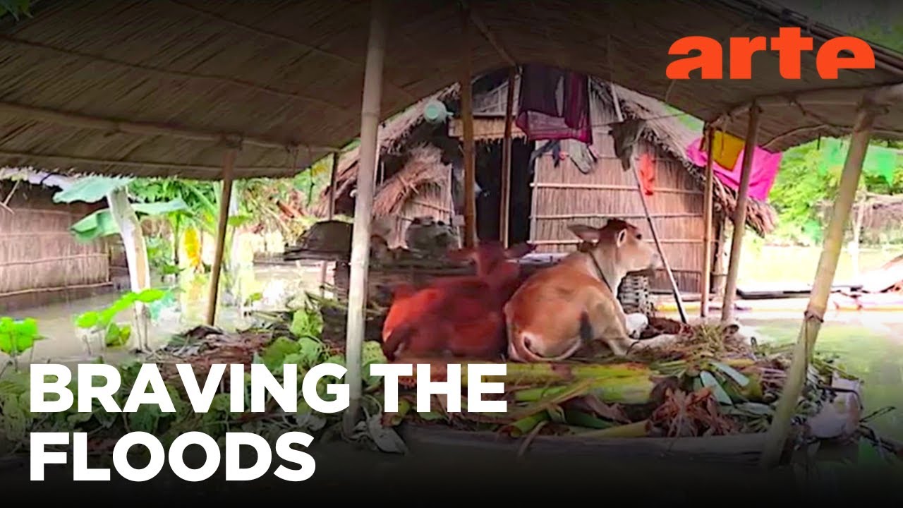 Bangladesh: Keeping Head Above Water (2025)