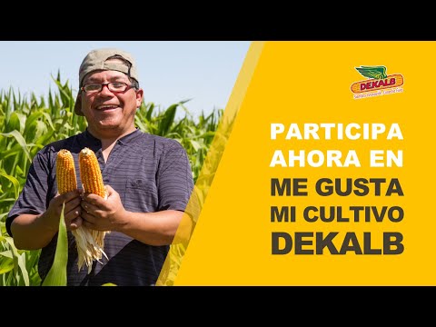 CONCURSO ME GUSTA