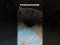 #shorts Paranormal activity Spain 🇪🇸 👻