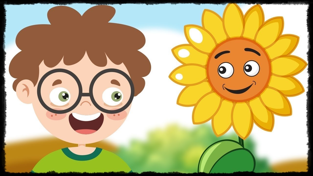 Sordum Sarı Çiçeğe Çocuk İlahisi ve En Güzel Çocuk İlahileri