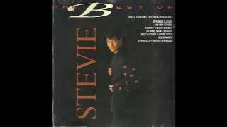 Stevie B The Best Of 1993