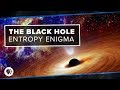 Understanding Black Holes and Entropy