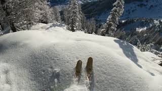 Davos forest ski runs