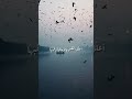 مساءالخير كيف حالك ياصديقي اقتباسات تصميمي تعليق صوتي تحفيز حالات واتس حزينه معبره ستوريات انستا