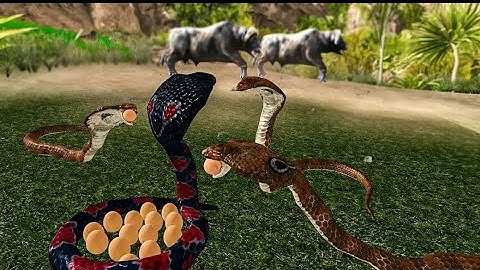 snack attack on beach and city simulator game video