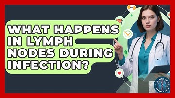 What Happens In Lymph Nodes During Infection? - All About the Immune System