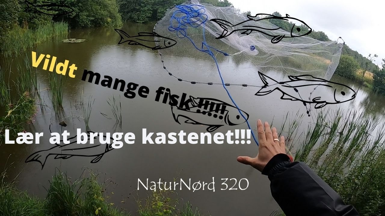 NaturNørd 321. På jagt med kastenettet. Sindssyg resultat!!!!