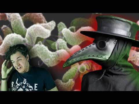 Vidéo: La peste bubonique est-elle un virus ou une bactérie ?