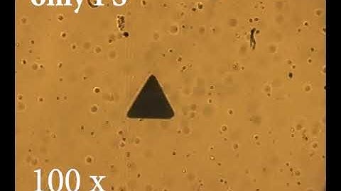 No accumulation of polystyrene particles: M4