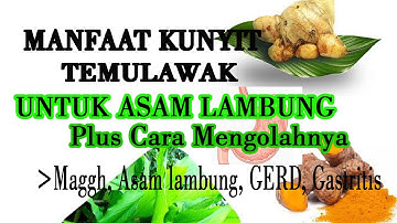 MANFAAT KUNYIT DAN TEMULAWAK DAN CARA MENGOLAHNYA (Magh, Asam Lambung, Gerd, Gastritis)