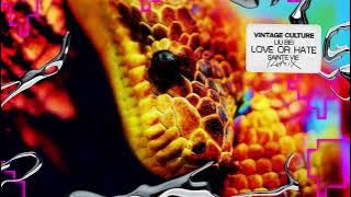 Vintage Culture, Liu Bei - Love or Hate (Sainte Vie Remix)