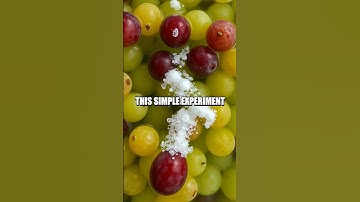 The Secret of Floating Grapes