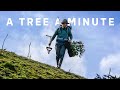 Planting a small forest in 24 hours 1440 trees