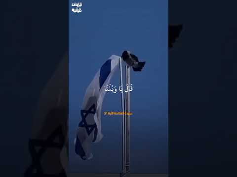 الشيخ السيد سعيد سورة المائدة