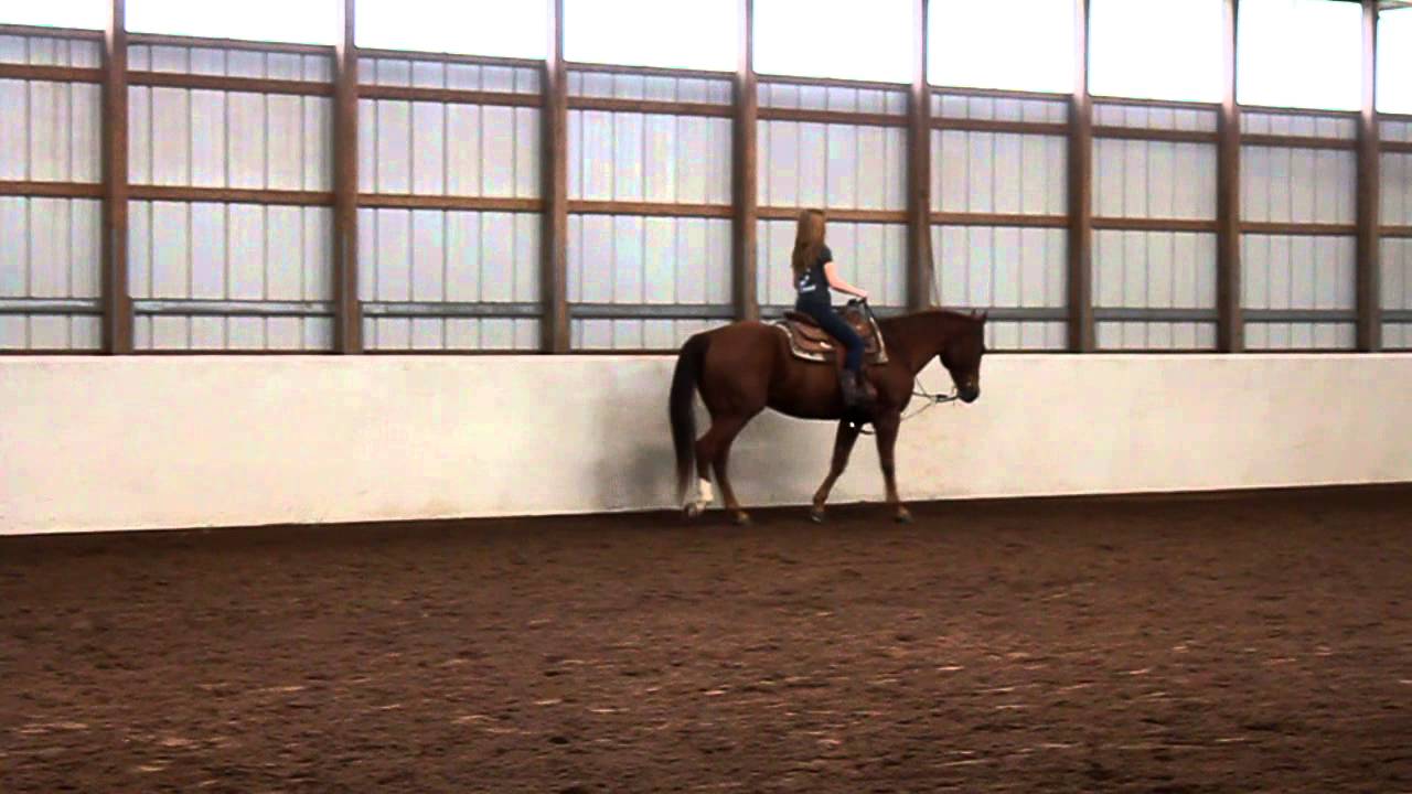 Western Pleasure Jog ;) YouTube