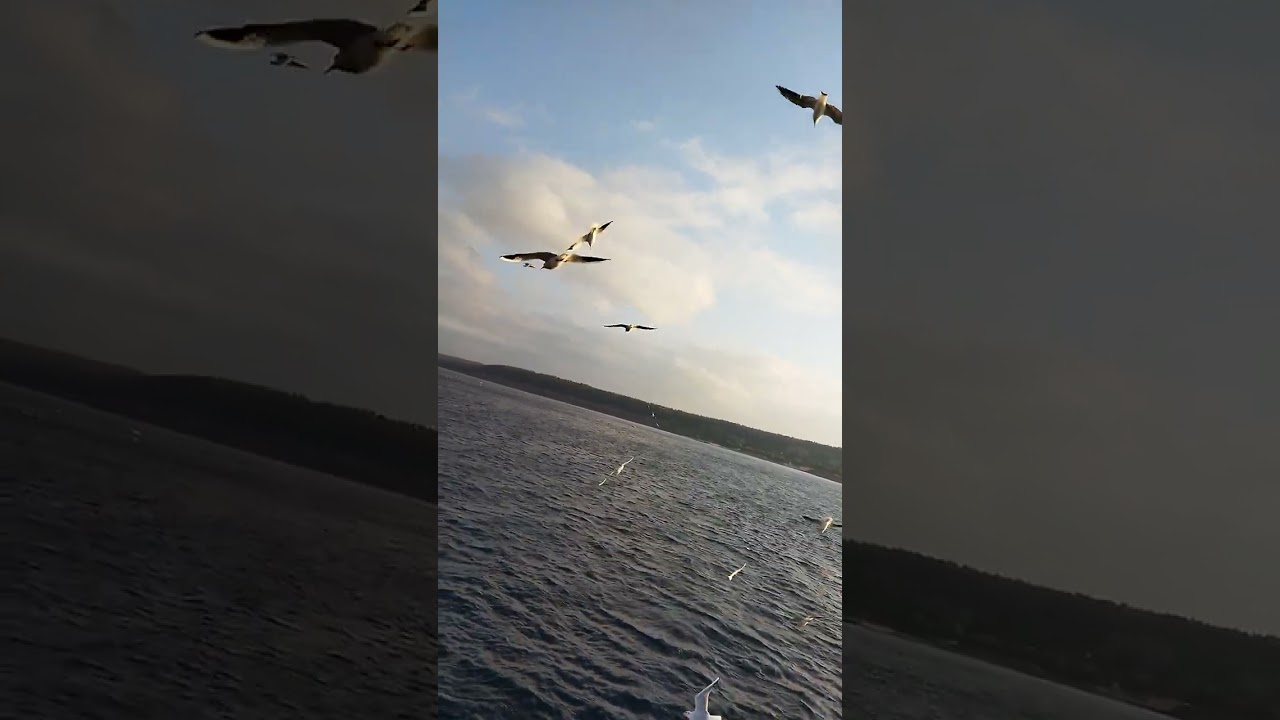 Çanakkale boğazı feribot turu