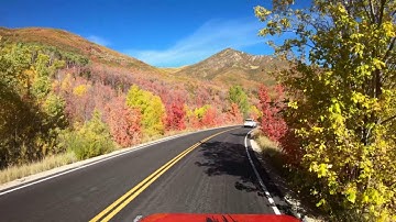 Fall colors on the Alpine Loop and Cascade Springs Road Utah Oct. 2022