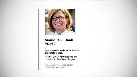 Dr. Monique Haak - A practical approach to fetal c...