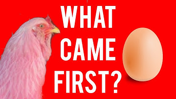 WHAT CAME FIRST? Professor Pump-Un-Shlump (Official Video PShlump Records)