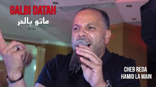 Cheb Reda 2024 - Galbi Datah ماتو بالحر ©️ Avec Hamid La Main Live (Mariage)