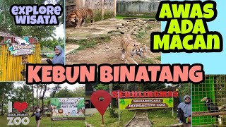 FULL REVIEW OF SERULINGMAS ZOO, BANJARNEGARA