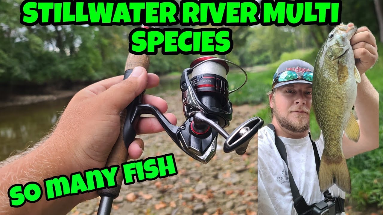Multi species fishing with swimbaits!!!(STILLWATER RIVER) YouTube