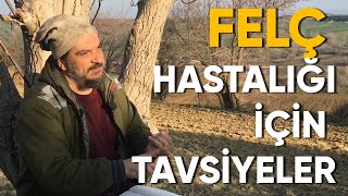 Felç Hastalığı İçin Tavsiyeler
