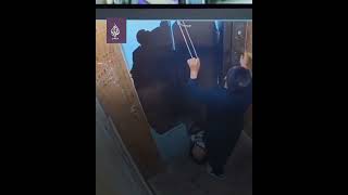 طفل يعلق بباب المصعد بعد محاولته سحب ماعز داخله