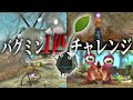 【ピクミン1匹チャレンジ】バグミン1匹で4体の中ボスたちに挑んでみたらどうなるのか 難易度ゲキカラ【ピクミン3デラックス】