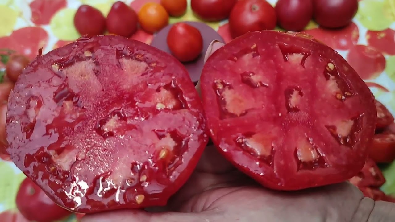 Дегустация №13 . Ярсоны !